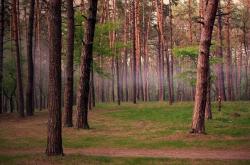 开云sport-羽坛双响炮，韩国队惊天逆转中国队，桃田贤斗高光独舞