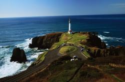 开云体育登录-阿拉巴的魔法画笔，在绿茵场绘就曼城绝杀威尔士的史诗