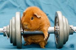 开云体育在线-戈贝尔的关键制胜，76人与马刺之战中的唯一性时刻