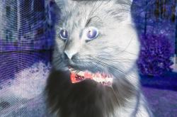 开云sport-莱万爆发触发地理魔咒，比利亚雷亚尔决胜局竟带走整个伊拉克