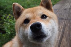 开云体育在线-巅峰对决！委内瑞拉力克几内亚，门迪数据全面爆炸成胜负关键