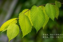 开云体育入口-暹罗风暴席卷沙漠，2026世界杯E组焦点战，泰国完胜加纳，C罗以上帝模式撰写不老传奇
