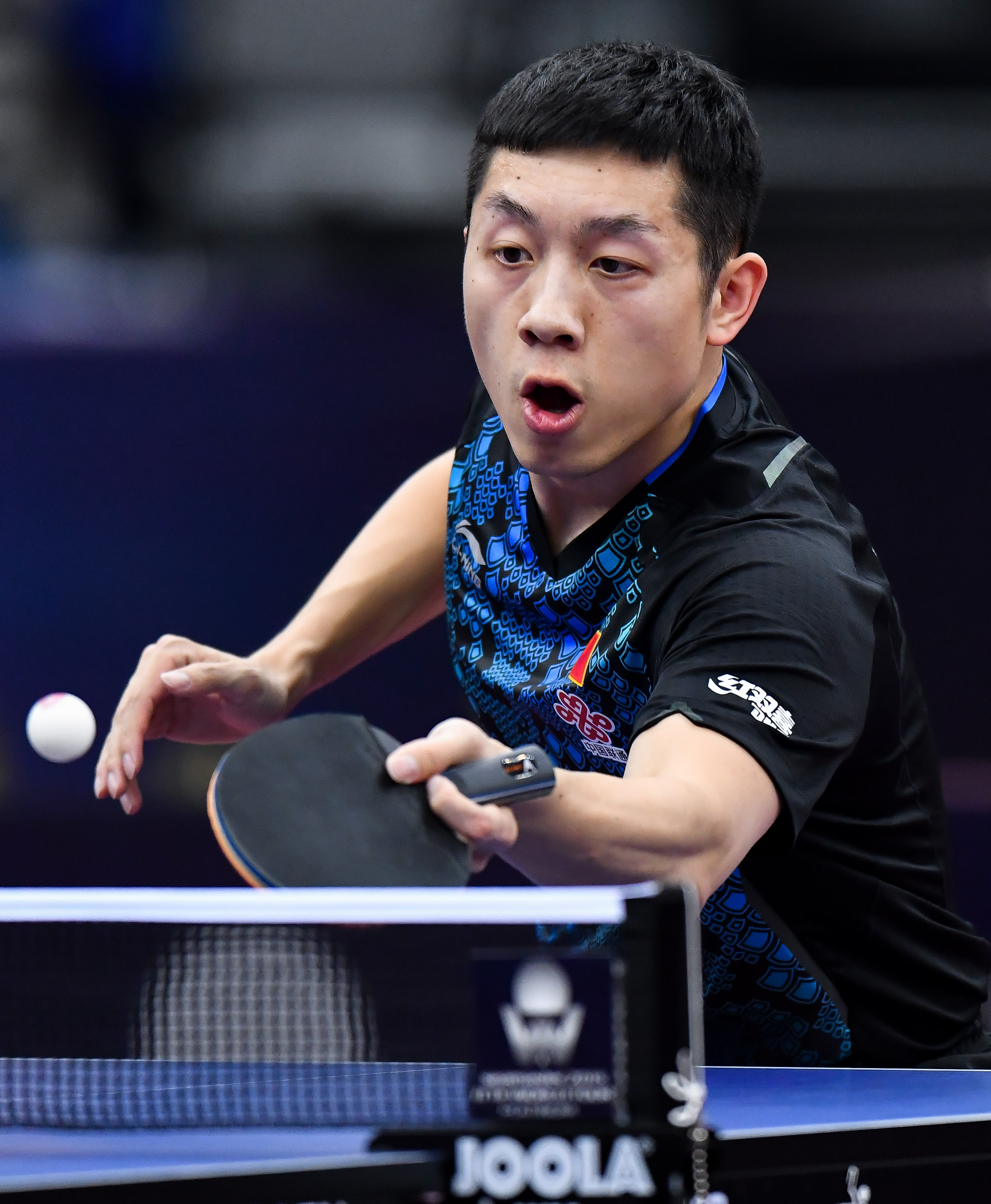 法国乒乓球队完胜中国乒乓球队，许昕打破历史纪录的简单介绍