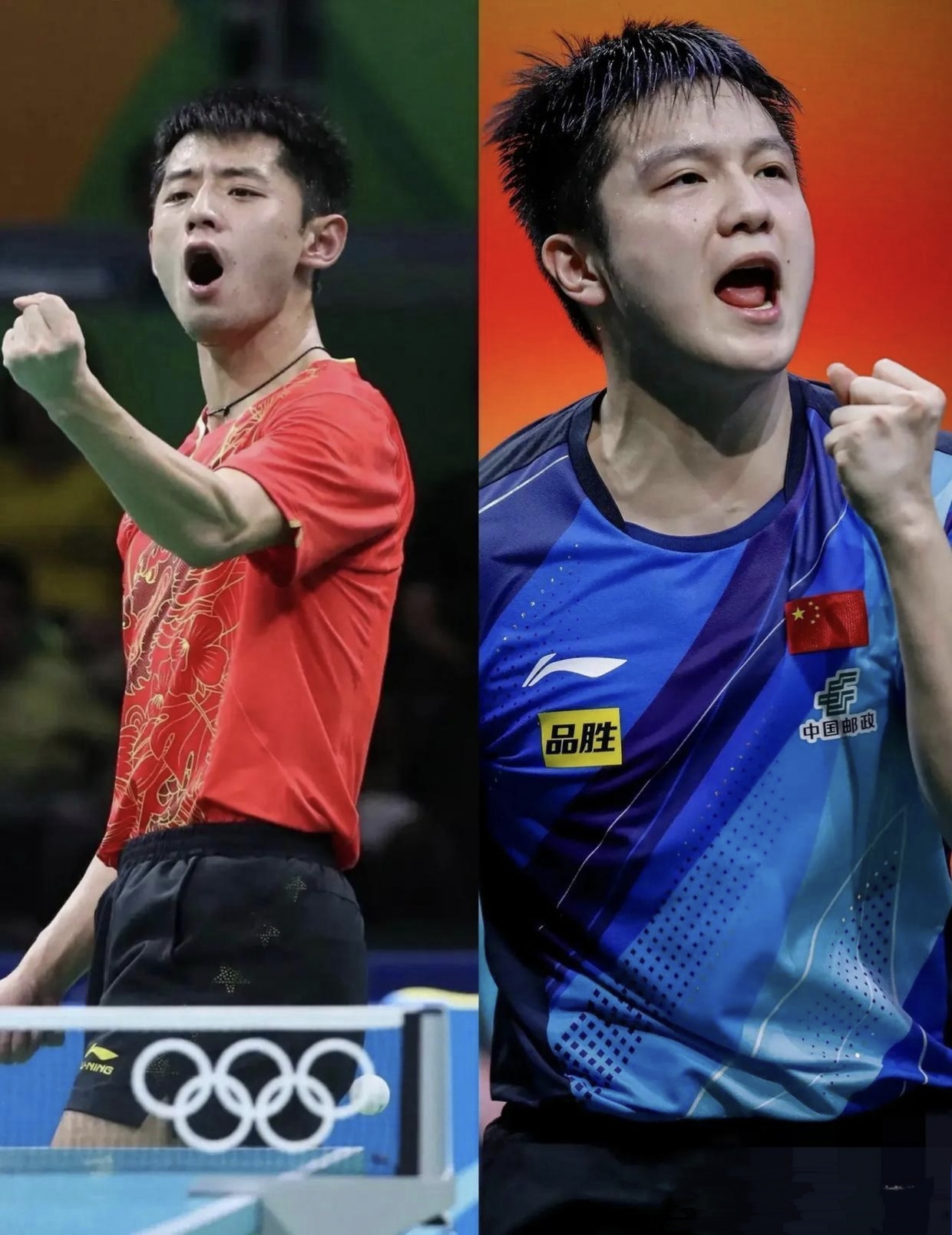 法国队力克波兰队，张继科扛起全队