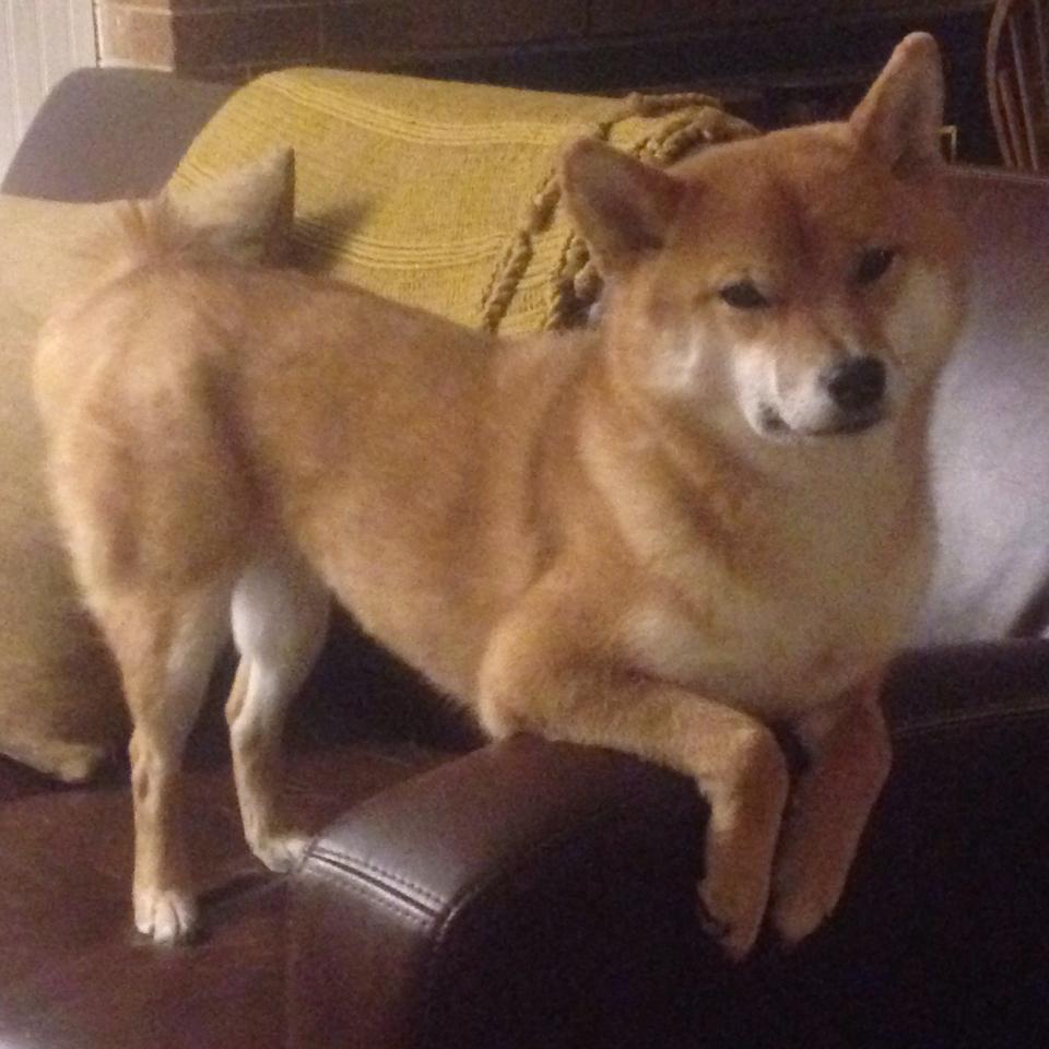 平行时空崩塌夜，当乌拉圭国家队横扫切尔西，哈兰德成了那个改写规则的人