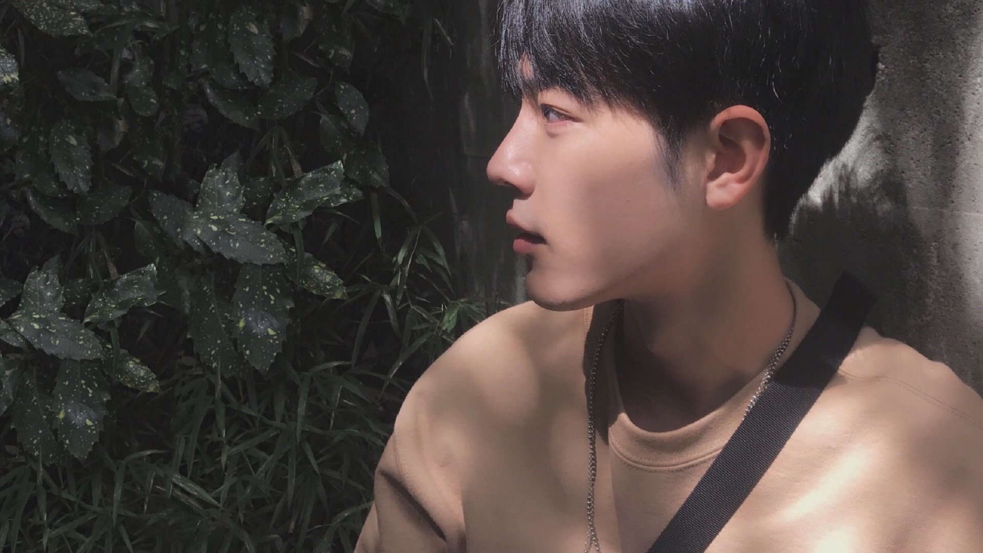 燎原之火，欧文末节19分焚魔术，广东队团队篮球晋级四强