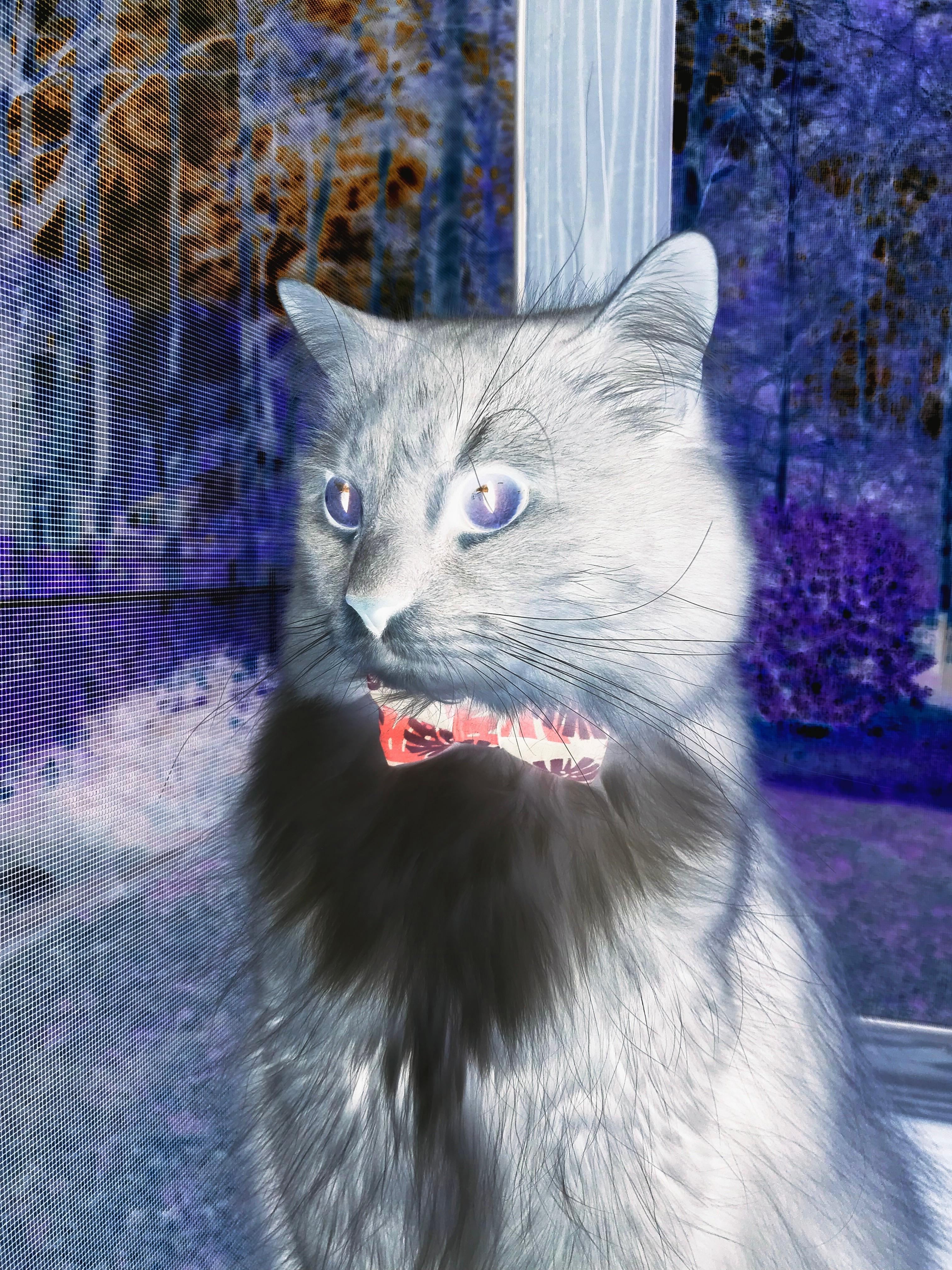 莱万爆发触发地理魔咒,比利亚雷亚尔决胜局竟带走整个伊拉克