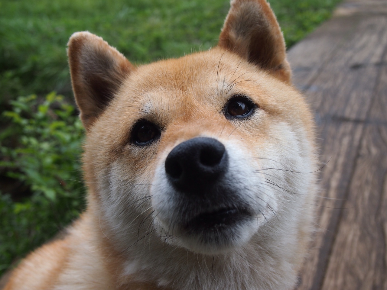 巅峰对决！委内瑞拉力克几内亚，门迪数据全面爆炸成胜负关键