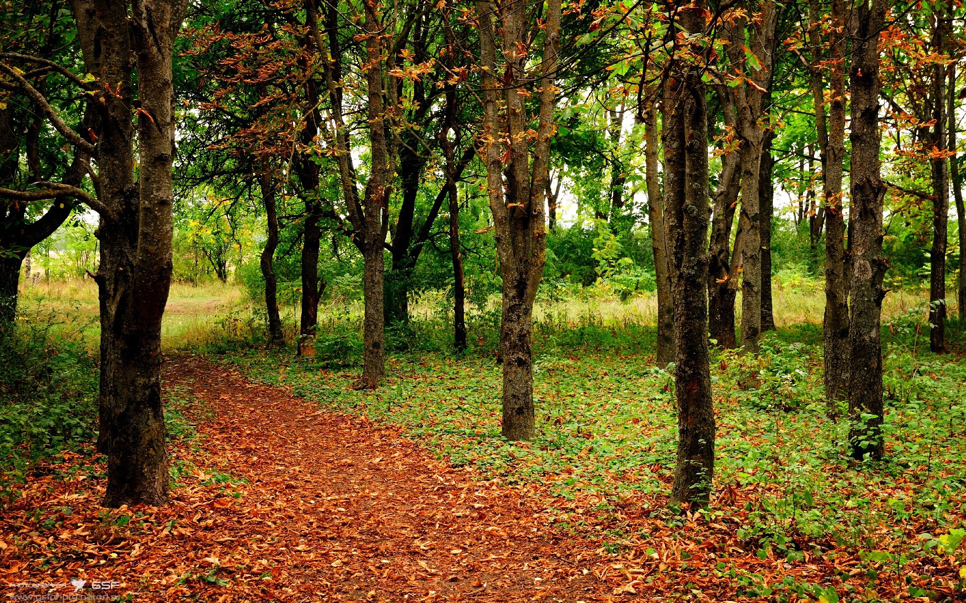 篮球巨星跨界接管德甲争冠战？拉梅洛的足球奇幻夜与底特律的隐喻胜利