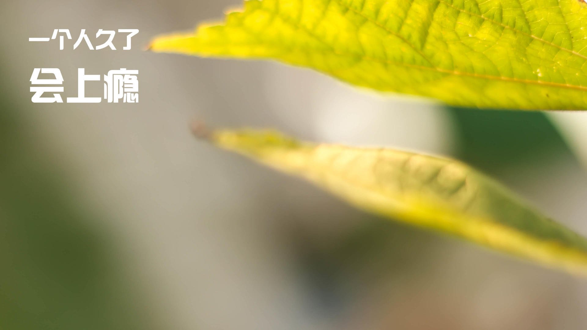 浙江三江汇流,难挡锡安数据洪流狂袭黄蜂巢穴