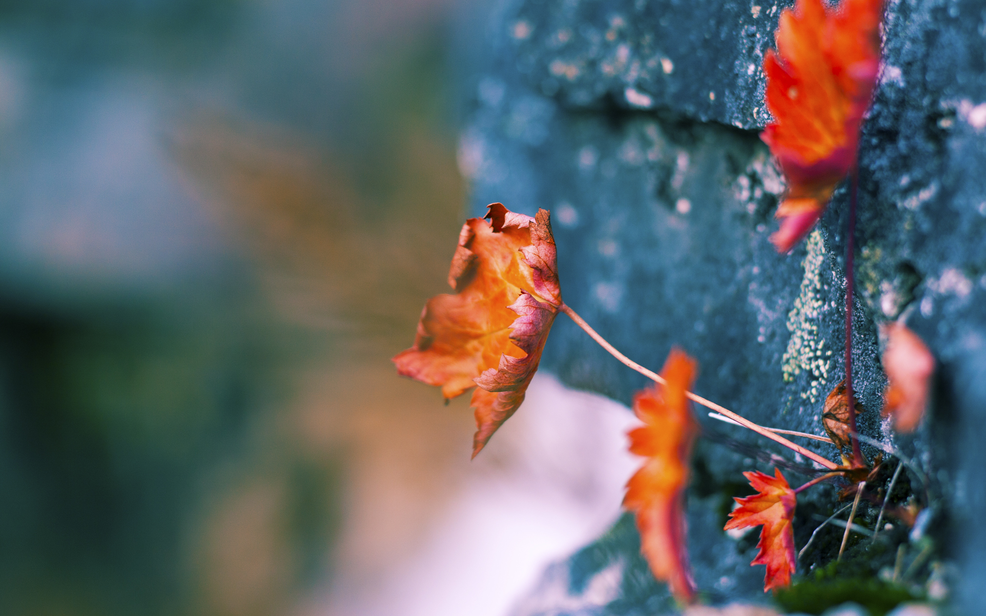 哈登加时王者归来!末节17分+致命封盖,一战后所有质疑者闭嘴