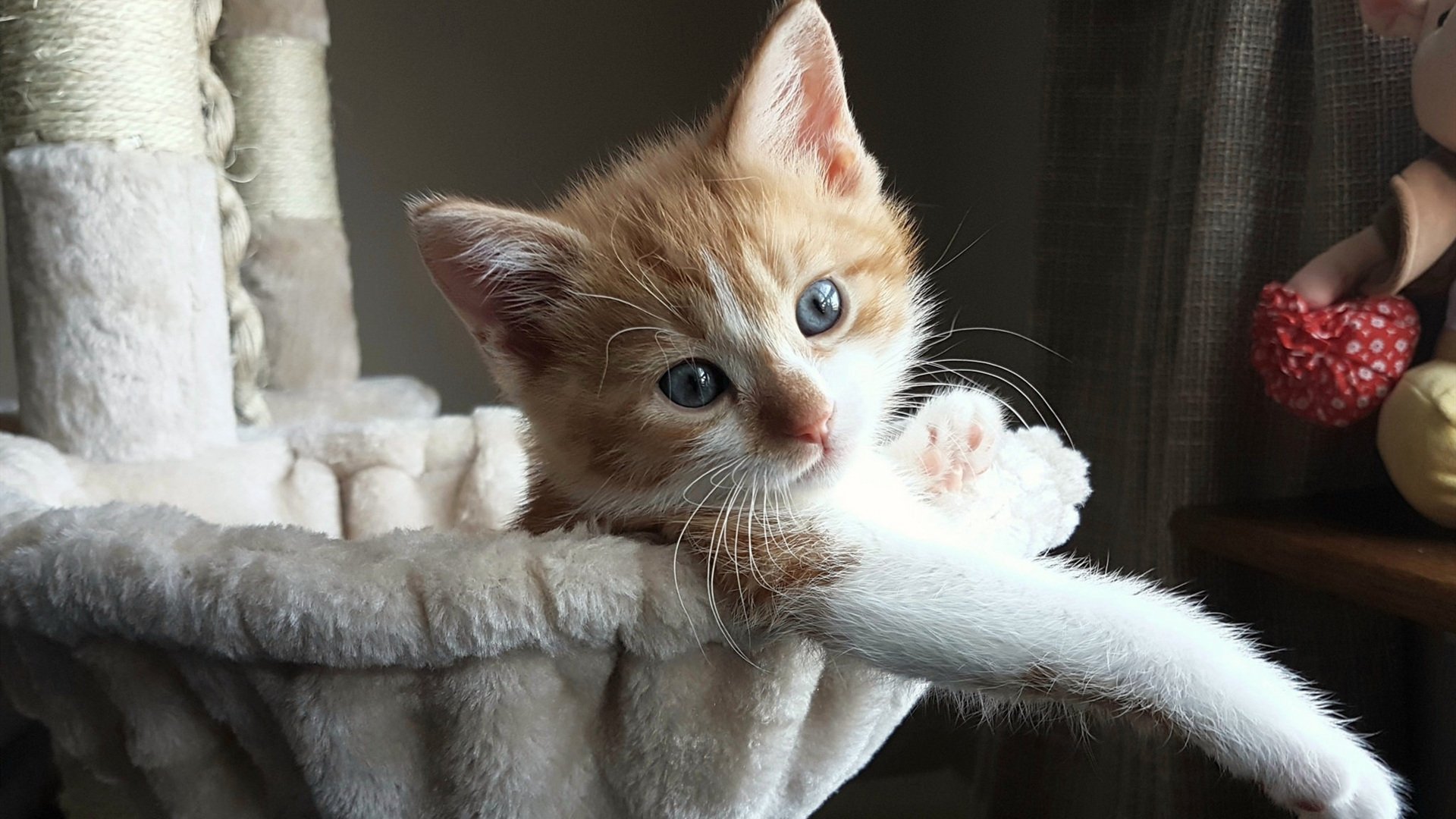 1.银河战舰的战术棋局，皇马如何以体系之力扼住尼斯的咽喉，黄喜灿一剑封喉