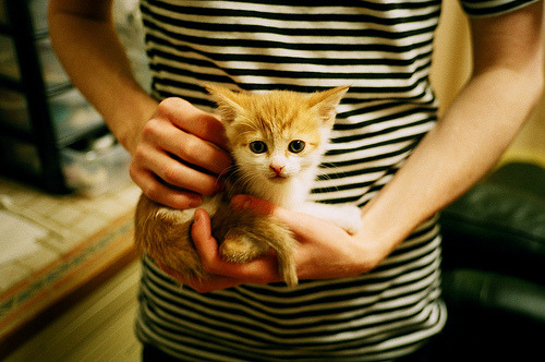 收割、文明与里程碑，当足球超越边界