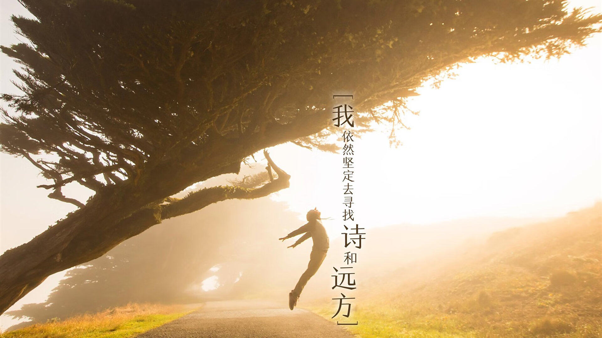 毕尔巴鄂雨夜的记忆，与伦敦城的新王