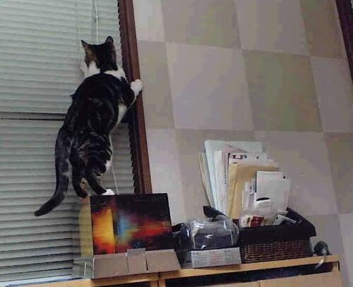 暗夜淬刃，斯通斯于奥运烽火前的冠军证言