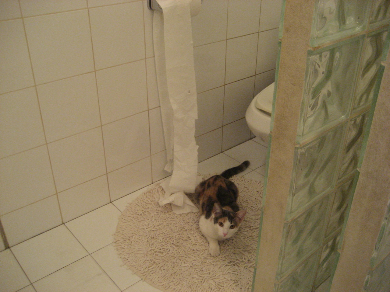 双面神的面孔，当阿尔瓦雷斯爆发，映照乌克兰绝杀德国的战争隐喻