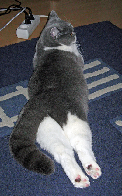 灵魂指挥家，东决关键夜，德布劳内的交响乐