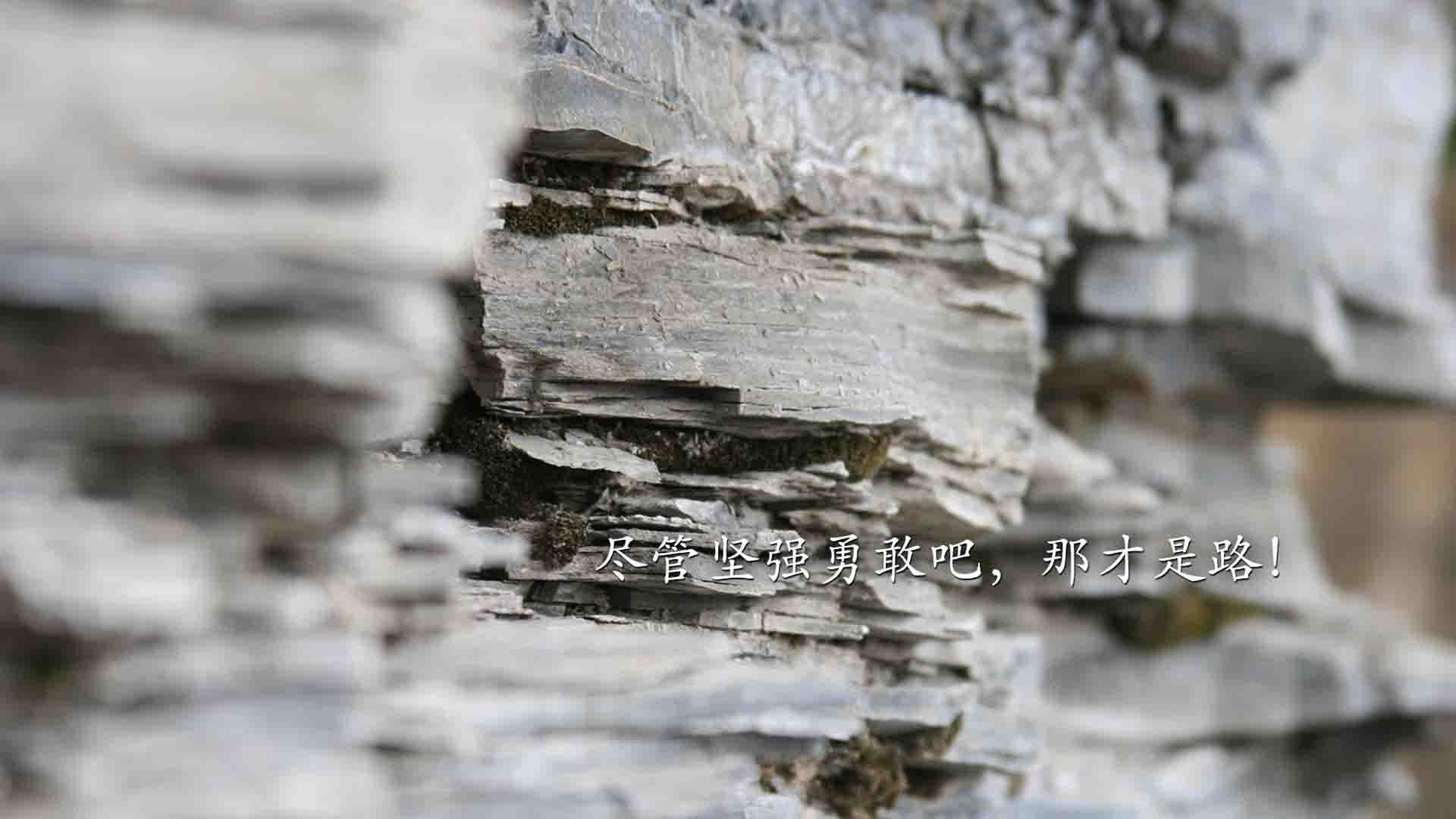 一瞬千秋，2026世界杯，卢卡库的致命一击如何让乌拉圭在绝杀中重写宿命