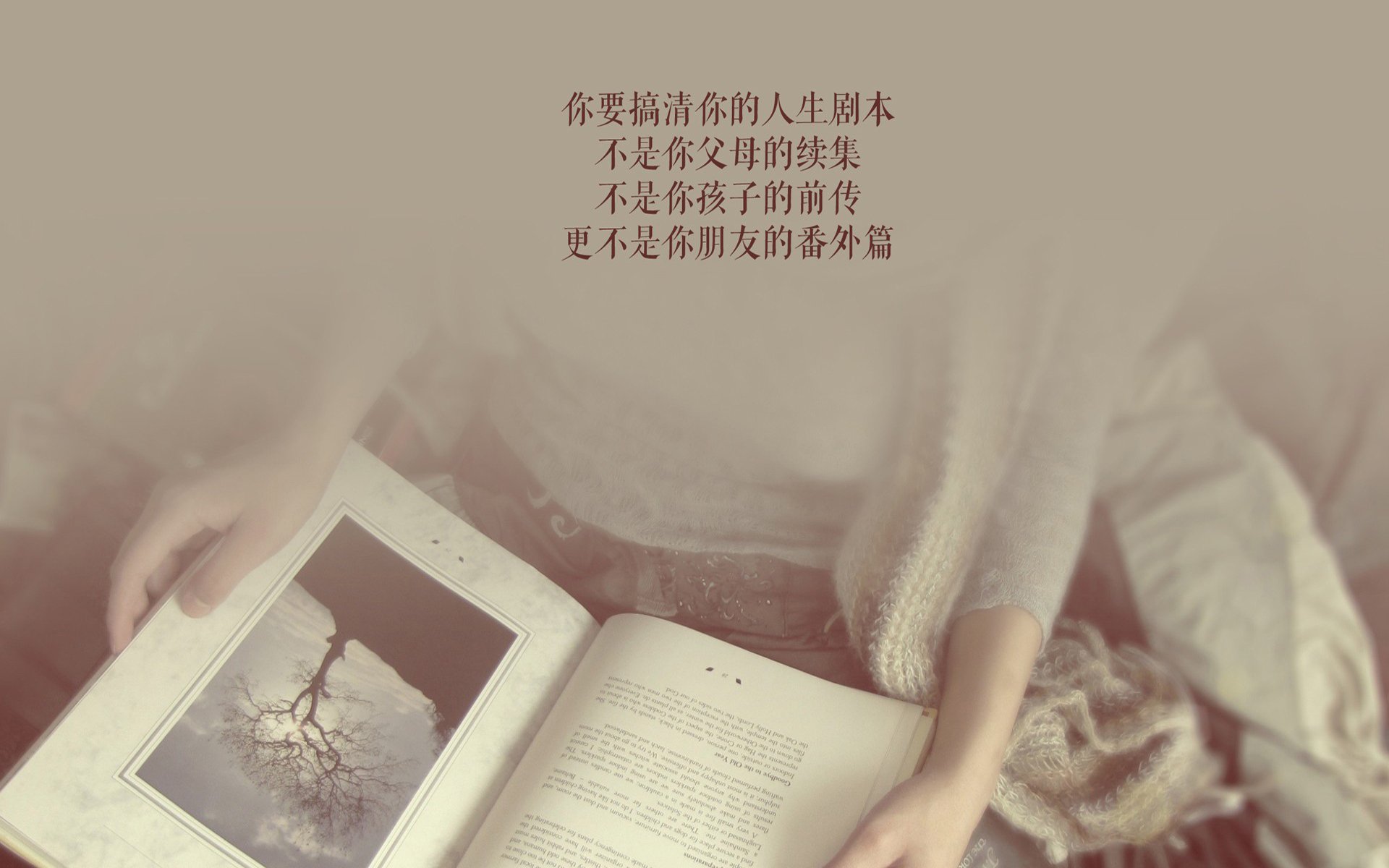 波斯铁骑的孤勇,2026世界杯H组,塔雷米一己之力弑桑巴,伊朗足球最炽热的一夜
